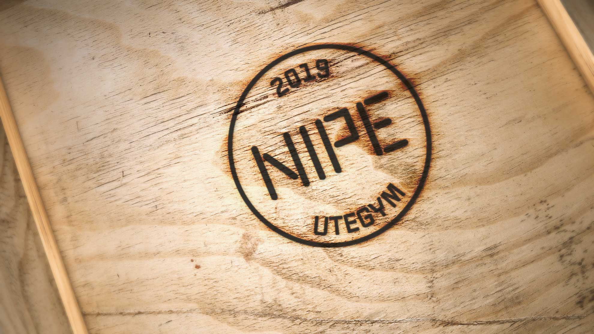 Logga – NIPE utegym