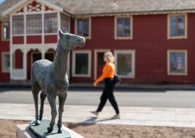 Eksjö kommun